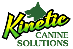 Kinetic K9